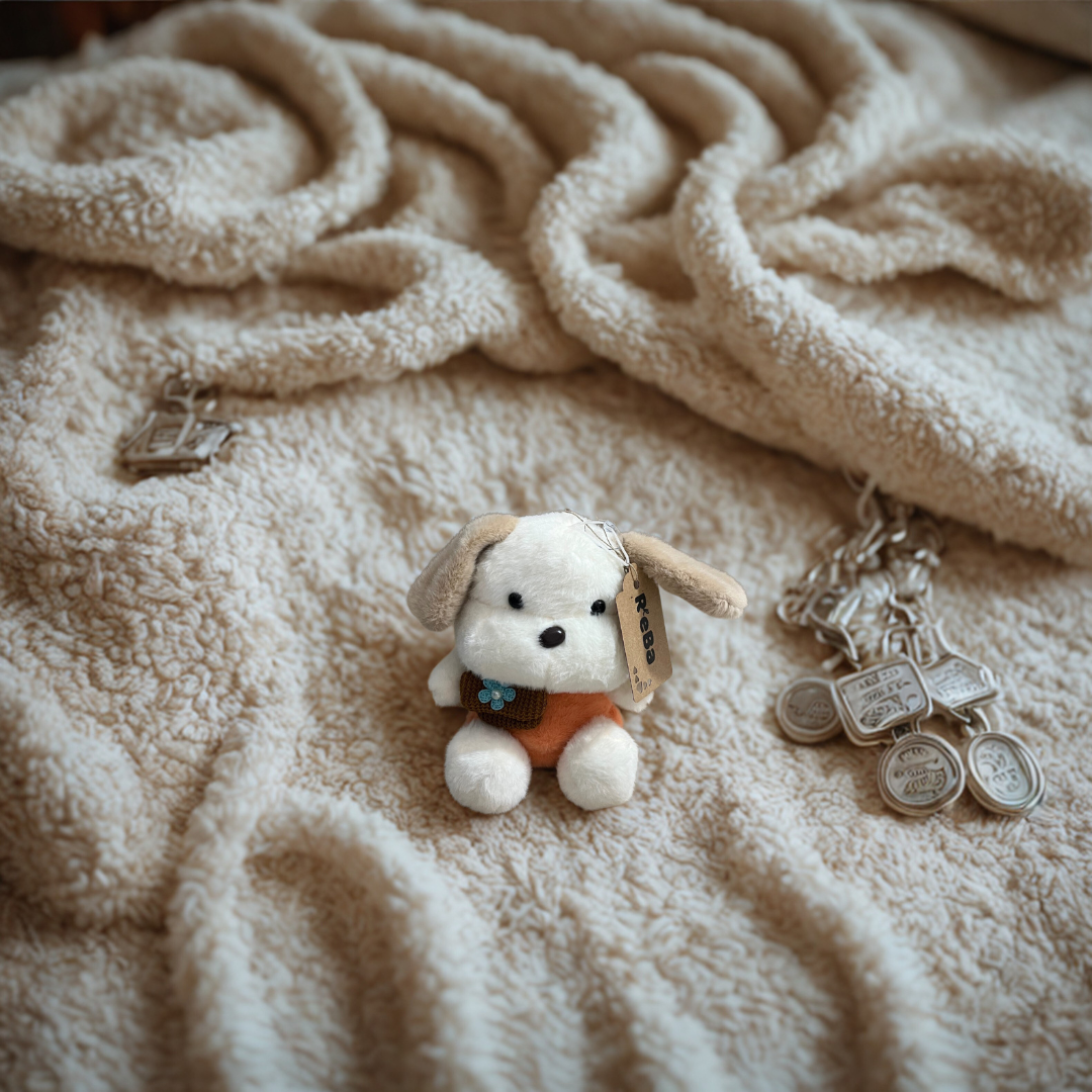 Soft Puppy Toy with Pouch – White & Brown Dog Plush with Colorful T-Shirt | Medium Size (21x15x14 cm)